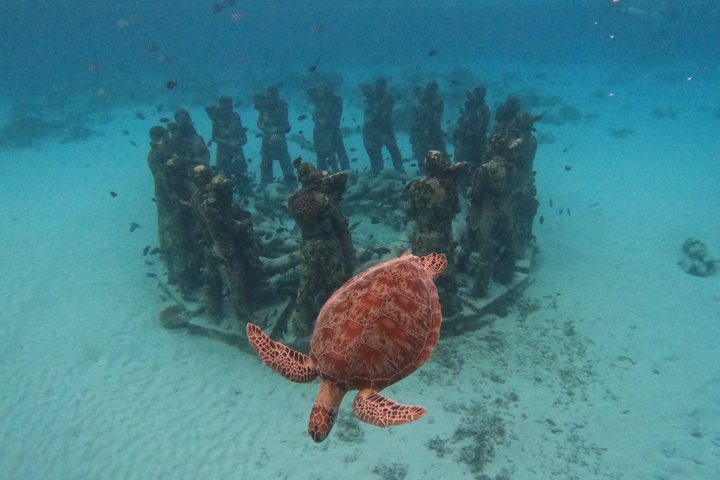 Private Gili Snorkelling Tour: Turtles & Reefs + GoPro + Drinks