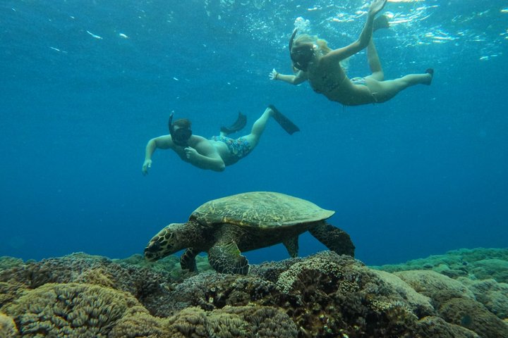 Private Gili Snorkelling Tour: Turtles & Reefs + GoPro + Drinks