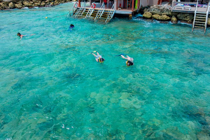 Aruba De Palm Island All Inclusive Day Trip with Transport