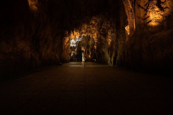 Waitomo Caves & Rotorua + Te Puia Small-Group Tour from Auckland