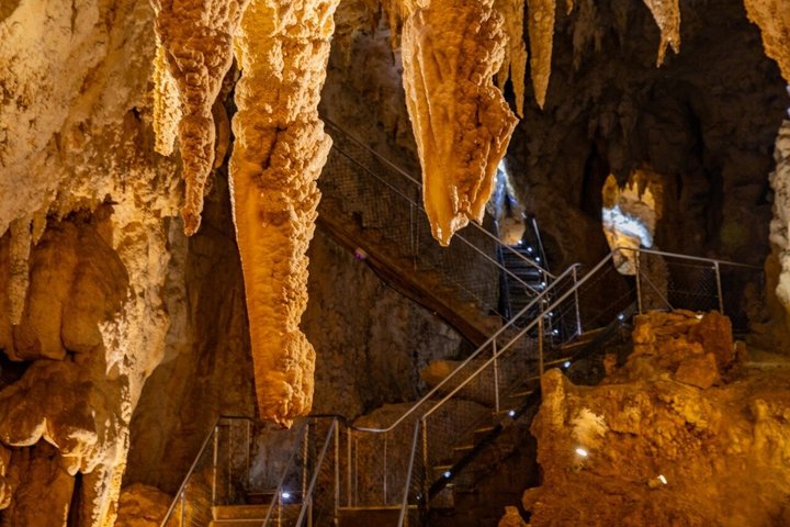 Waitomo Caves & Rotorua + Te Puia Small-Group Tour from Auckland