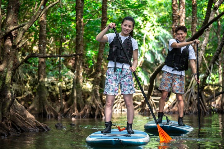 Ishigaki Mangrove SUP or Canoe + Blue Cave Snorkeling
