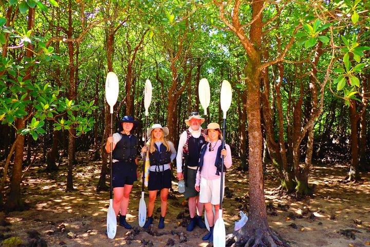 Okinawa Ishigaki Mangrove SUP or Canoe Tour