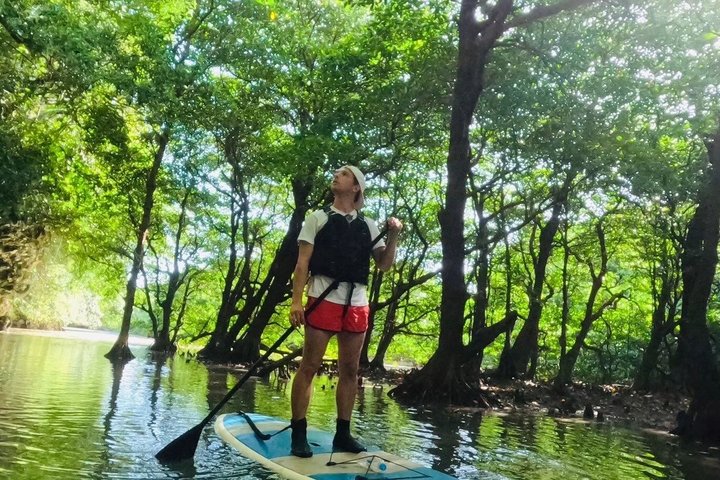 Okinawa Ishigaki Mangrove SUP or Canoe Tour