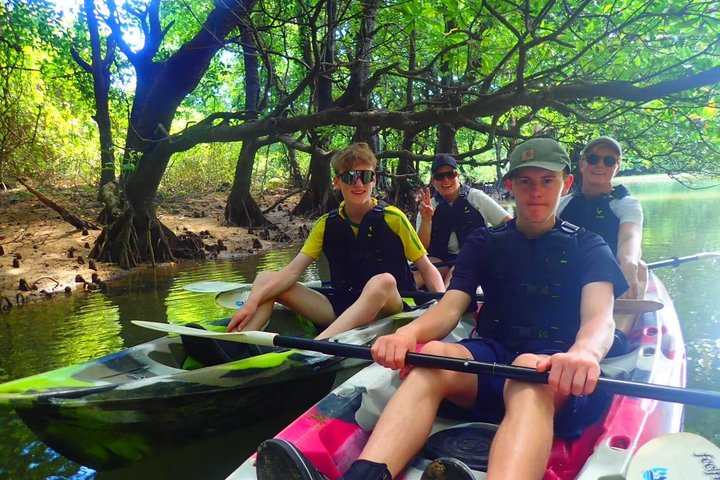 Okinawa Ishigaki Mangrove SUP or Canoe Tour