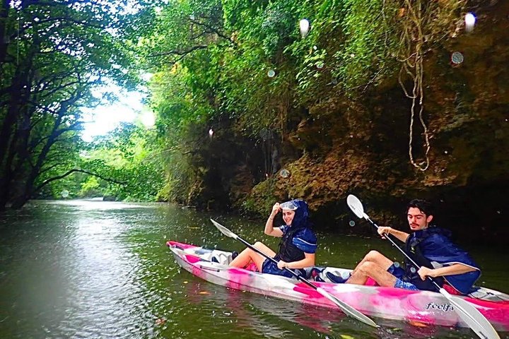 Ishigaki Mangrove SUP or Canoe + Blue Cave Snorkeling