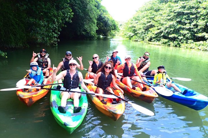 Ishigaki Mangrove SUP or Canoe + Blue Cave Snorkeling
