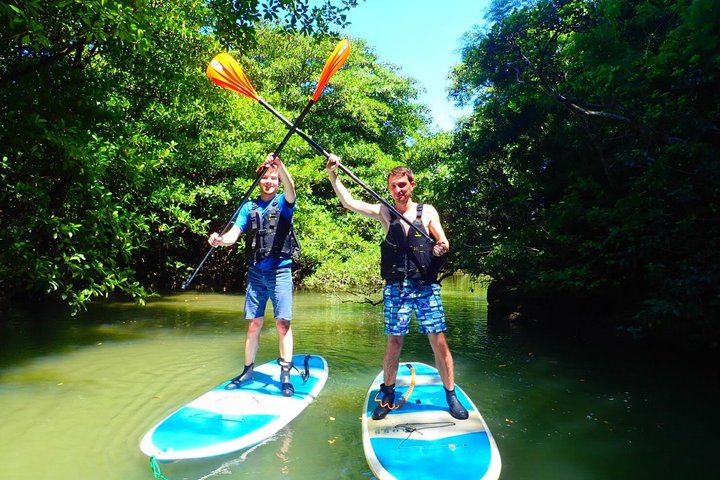 Okinawa Ishigaki Mangrove SUP or Canoe Tour