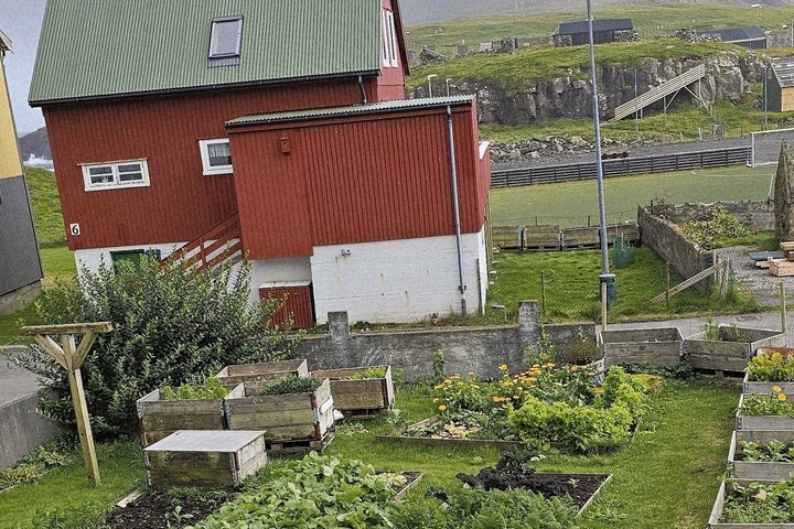 Faroese Cooking Class in Nólsoy Near Tórshavn with Maud