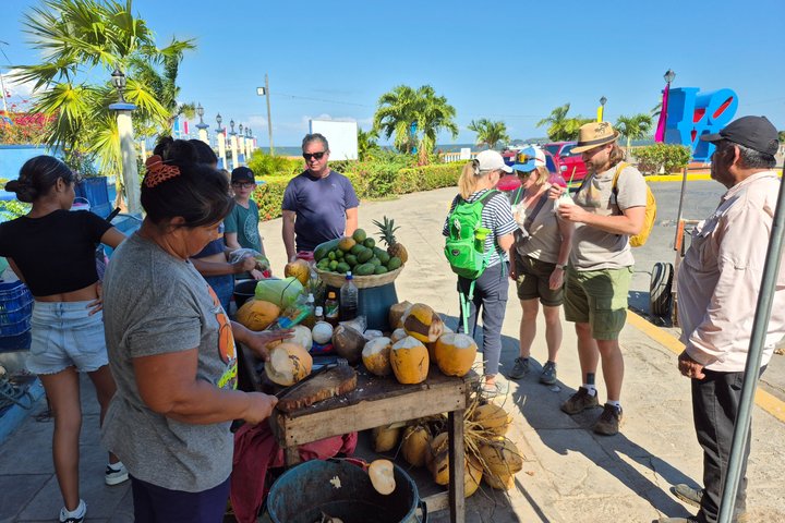 Nicaragua Private Day Tour: Masaya Volcano, Granada & Boat Ride!