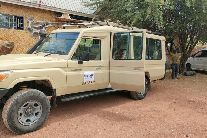 2-Day Zanzibar to Mikumi Safari by SGR Train