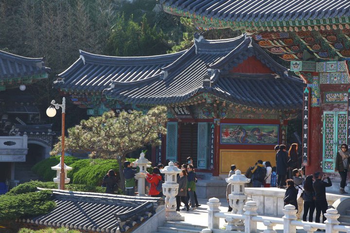 (On-Time Return) Busan Cruise Shore Excursion for Small Group