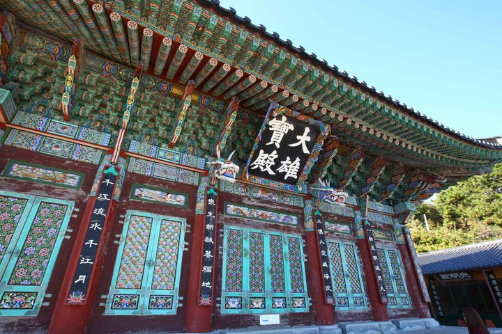(On-Time Return) Busan Cruise Shore Excursion for Small Group