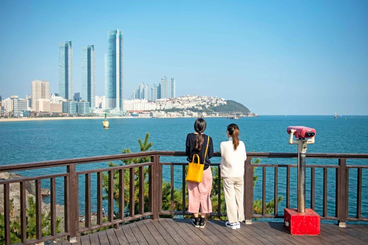 (On-Time Return) Busan Cruise Shore Excursion for Small Group