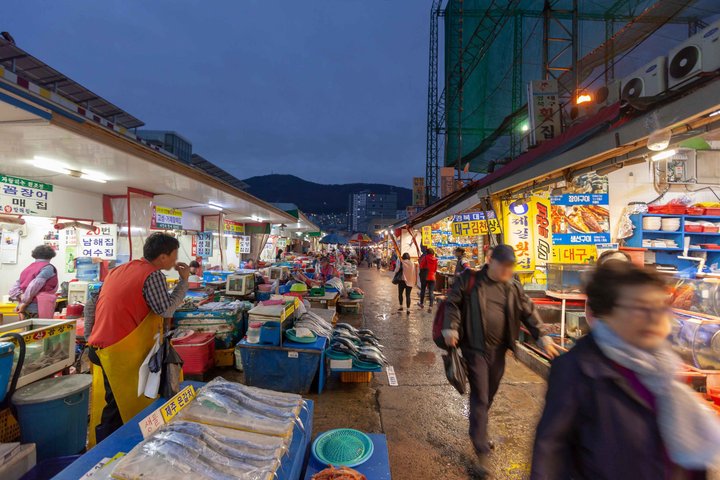 Busan Private Tour with Licensed Local guide