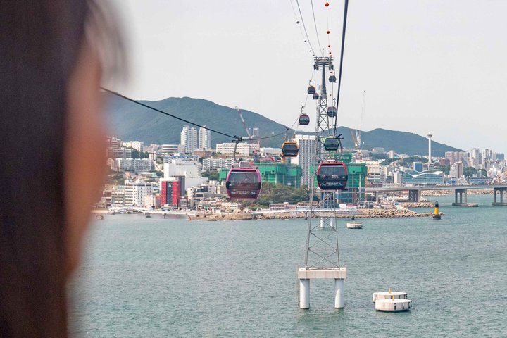 Busan Private Tour with Licensed Local guide