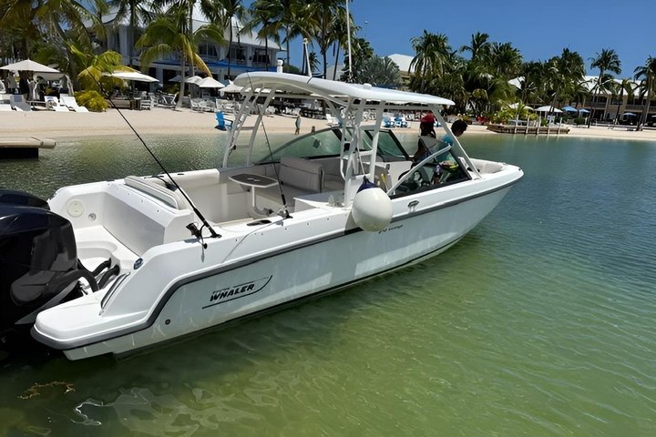 Stingray City, Star fish Point and Snorkeling Private Boat Tour