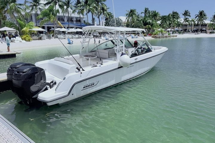 Stingray City, Star fish Point and Snorkeling Private Boat Tour