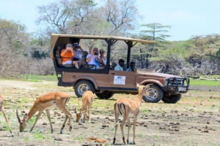 3 Days 2 Night Safari in Mikumi.