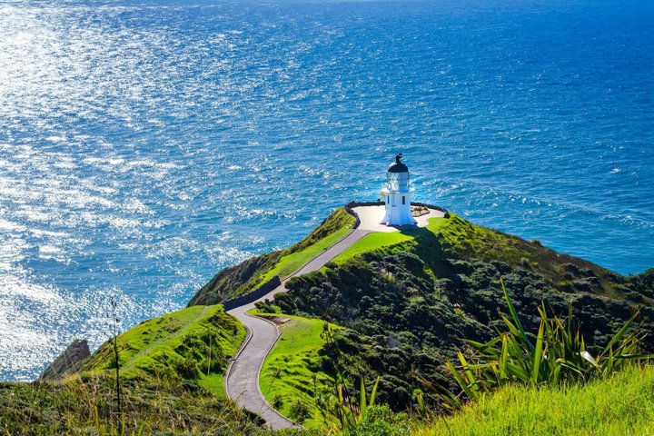 Cape Reinga - 90 Mile Beach Tour - With Lunch