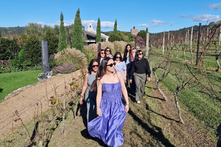 Auckland: Waiheke Island Scenic Tour 4 Vineyards, Local Guides