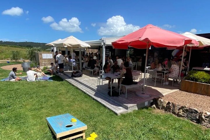 Auckland: Waiheke Island Wine Tour + Tastings & Beachfront Lunch