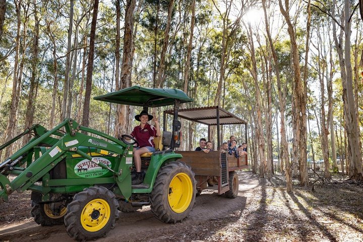 White Ridge Farm: Day Entry ticket
