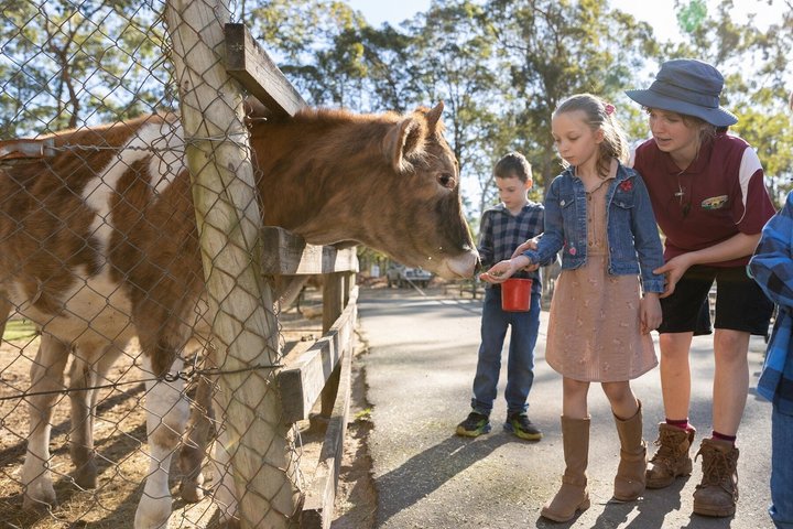 White Ridge Farm: Day Entry ticket