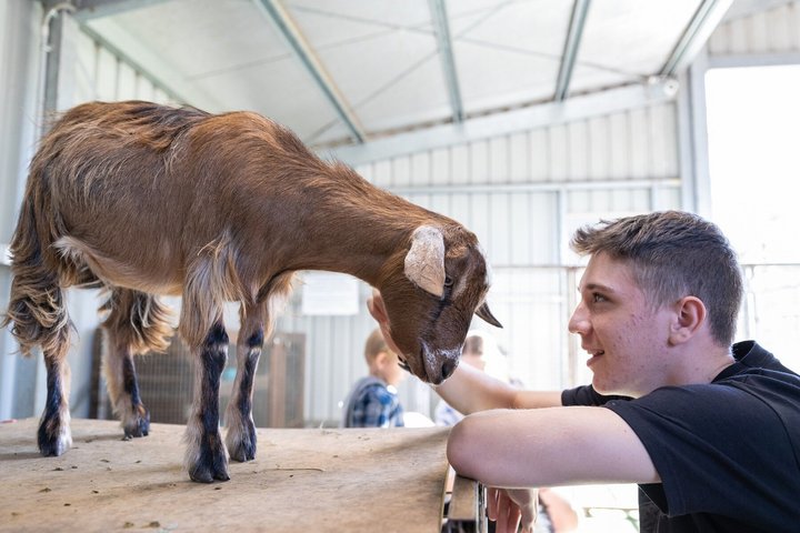 White Ridge Farm: Day Entry ticket