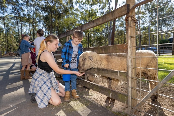 White Ridge Farm: Day Entry ticket