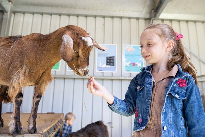 White Ridge Farm: Day Entry ticket