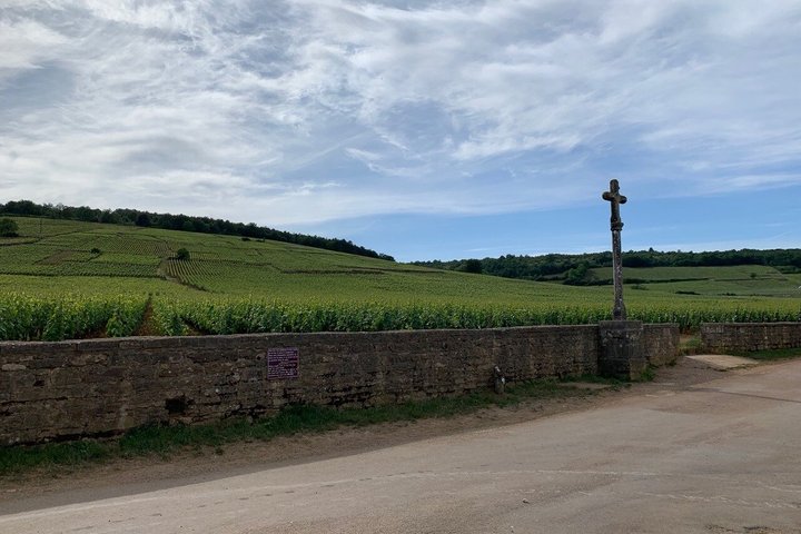 From Dijon Afternoon Côte de Nuits and Tasting