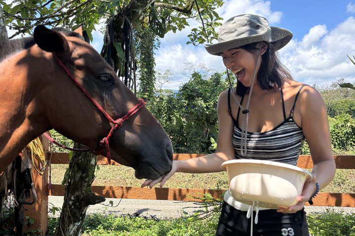 Horseback Riding Adventure in La Fortuna with River Crossings