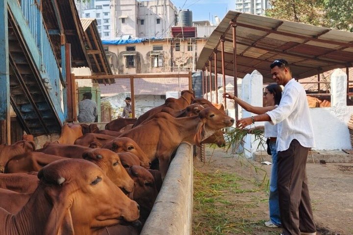 Private Mumbai Full Day/ Half Day Sightseeing by Car