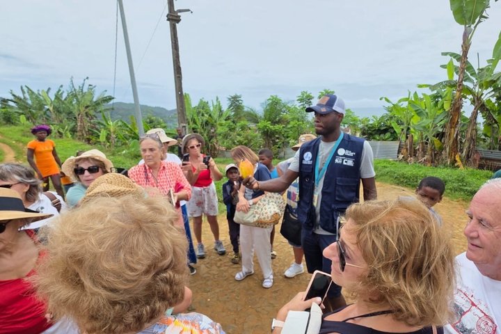 sipson tours stp