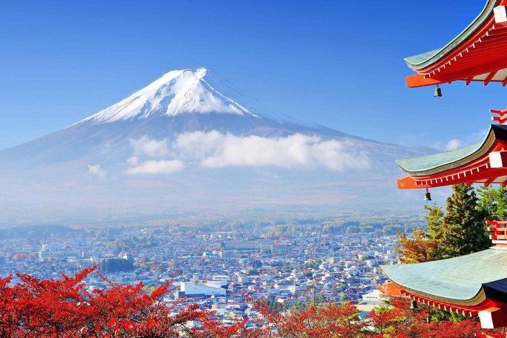 Mount Fuji and Hakone Private Tour