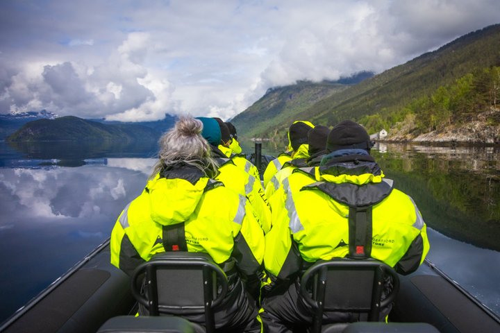 Osafjord RIB Safari from Ulvik: Waterfalls & Hardangerfjord Views