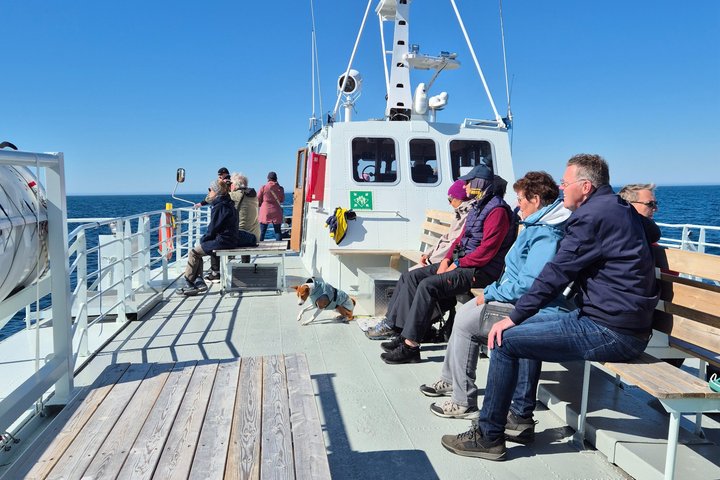 Andenes Whale Safari: Arctic Whale Watching Tour in Vesterålen
