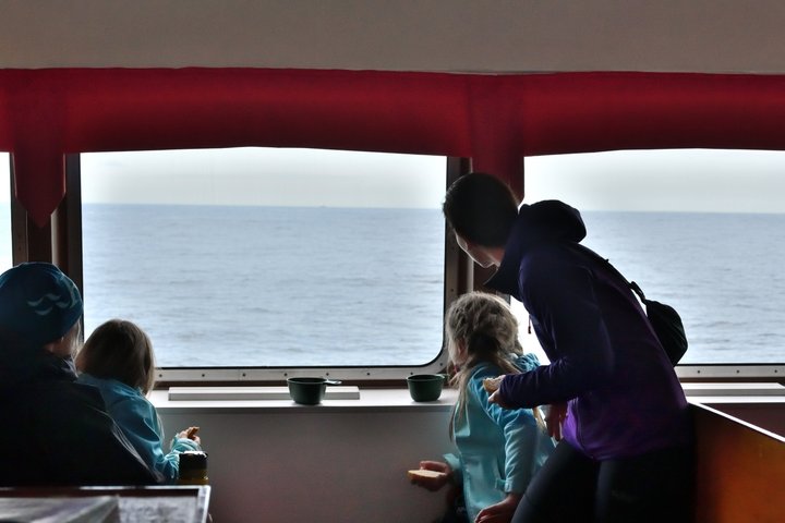 Andenes Whale Safari: Arctic Whale Watching Tour in Vesterålen