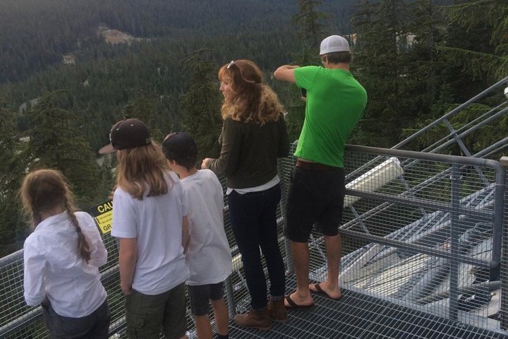 Whistler Bear Tour