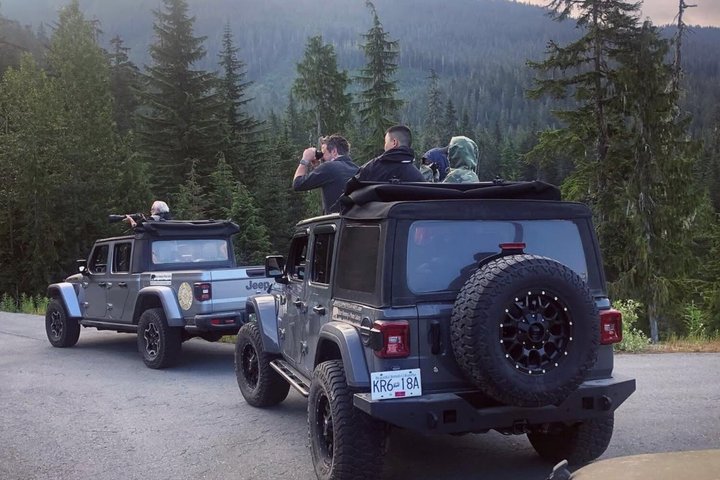 Whistler Bear Tour