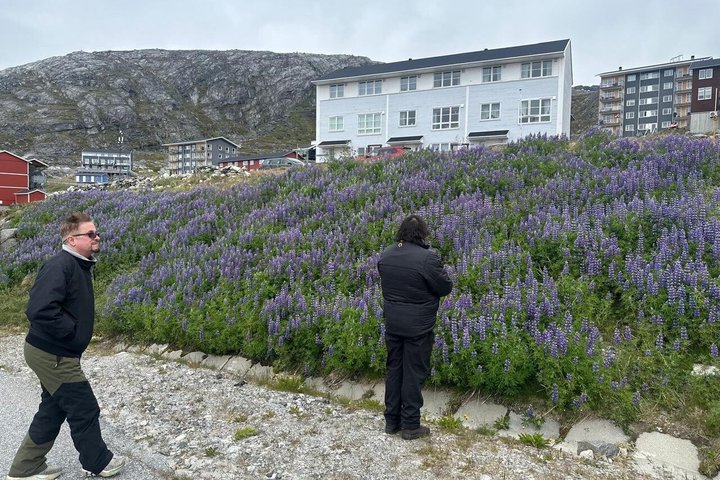 Nuuk City Highlights by Car with Greenlandic Tasting