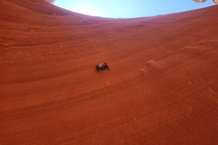 Antelope Canyon Kayak and Hike, Swim optional