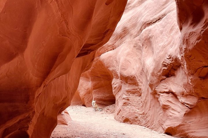 Antelope Canyon Kayak and Hike, Swim optional