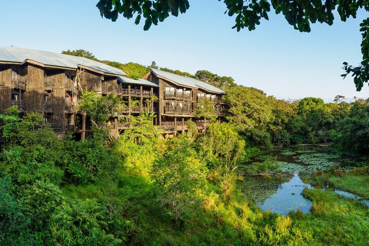 Full Day Shimba Hills Safari Wildlife and Sheldrick Falls