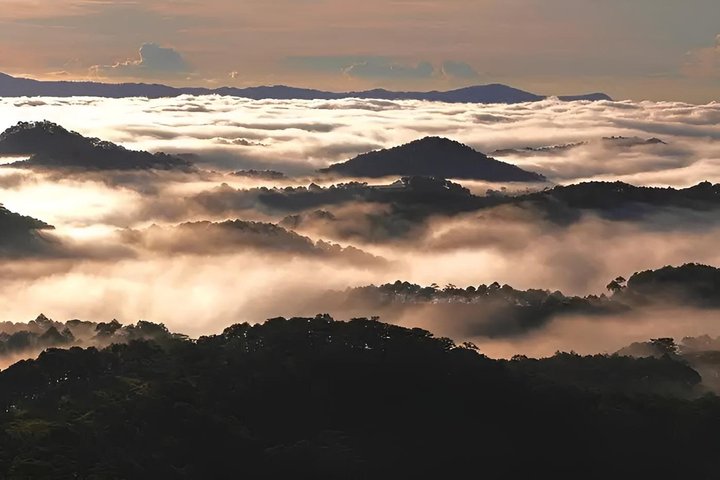 Experience Da Lat Cloud Hunting & Sunrise Trekking to Hon Bo Peak
