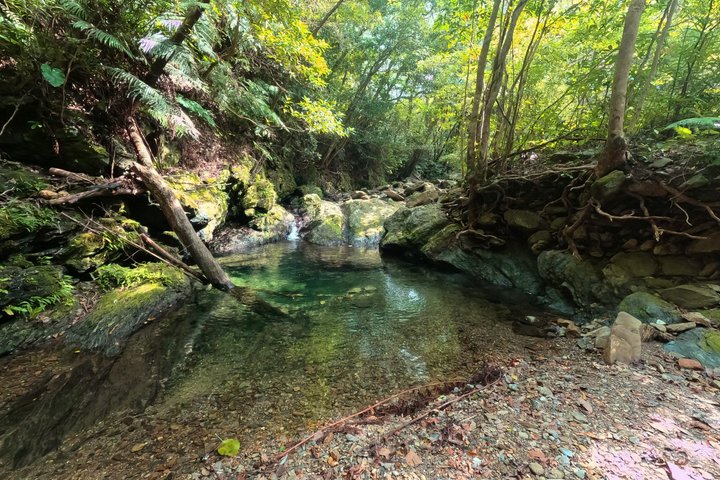 Okinawa Jungle Trails & Waterfalls – Private Yanbaru Tour