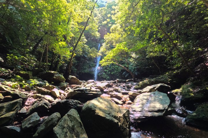 Okinawa Jungle Trails & Waterfalls – Private Yanbaru Tour