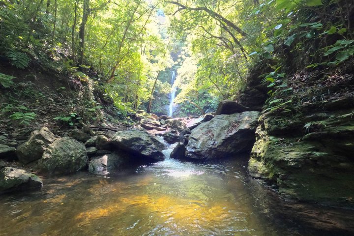 Okinawa Jungle Trails & Waterfalls – Private Yanbaru Tour