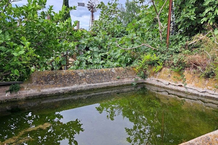 Jardins DE la Sagne EN Peril